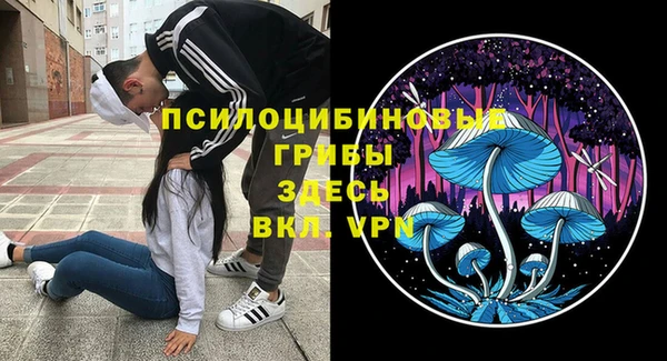 стаф Алзамай