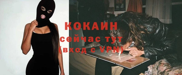 стаф Алзамай