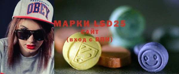 стаф Алзамай