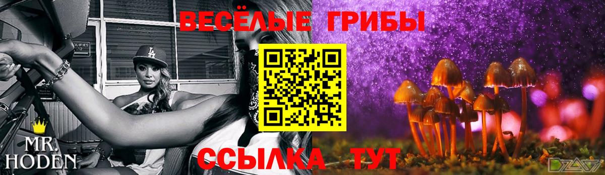 Пермь  Псилоцибиновые грибы прущие грибы  Вход с VPN 